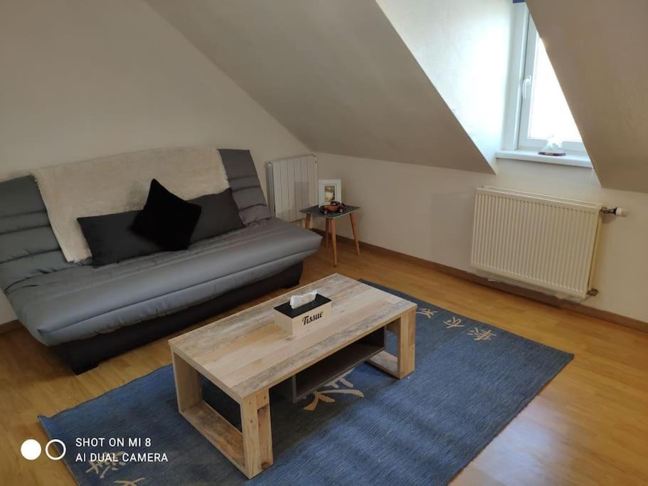 Joli Appartement Avec Place De Parking Prive Кольмар Экстерьер фото
