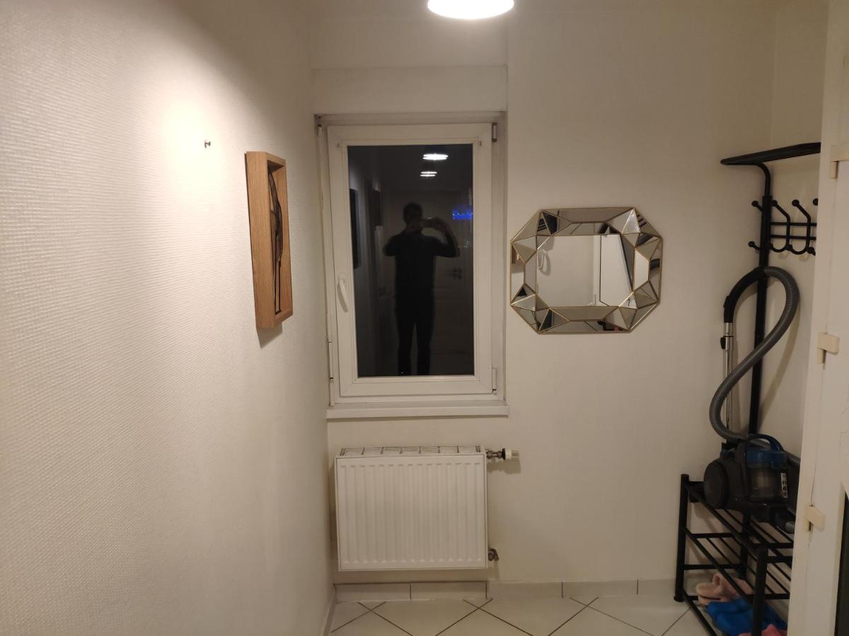 Joli Appartement Avec Place De Parking Prive Кольмар Экстерьер фото