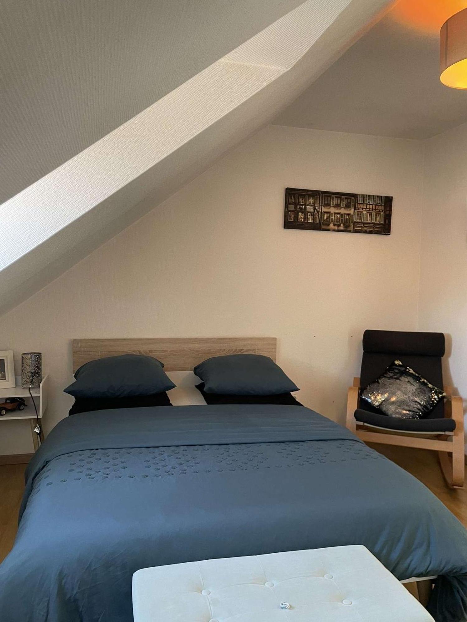 Joli Appartement Avec Place De Parking Prive Кольмар Экстерьер фото